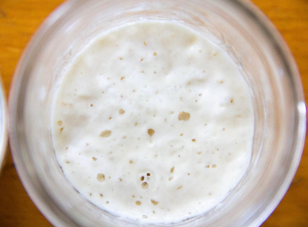 233-Year-Old Certified San Francisco Sourdough Starter (Local Pickup in Fargo)