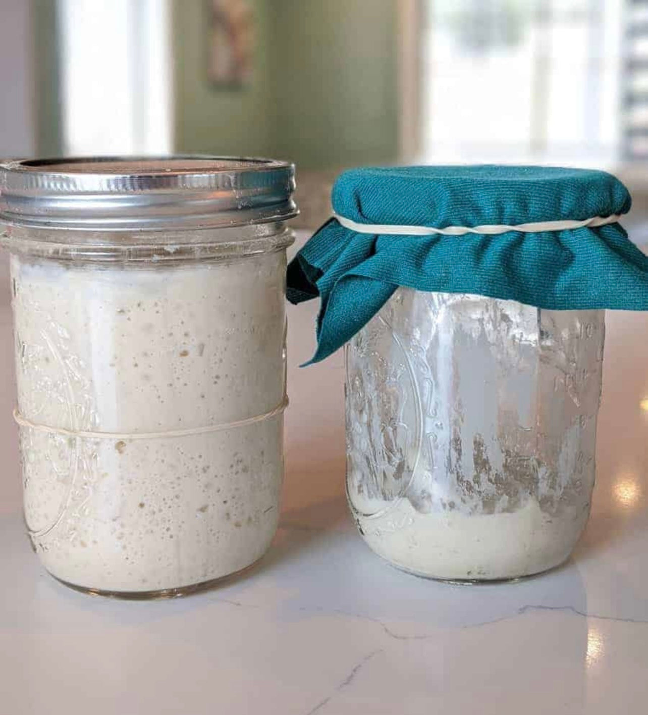 233-Year-Old Certified San Francisco Sourdough Starter (Local Pickup in Fargo)