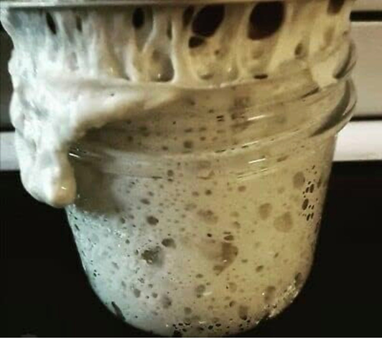 233-Year-Old Certified San Francisco Sourdough Starter (Local Pickup in Fargo)