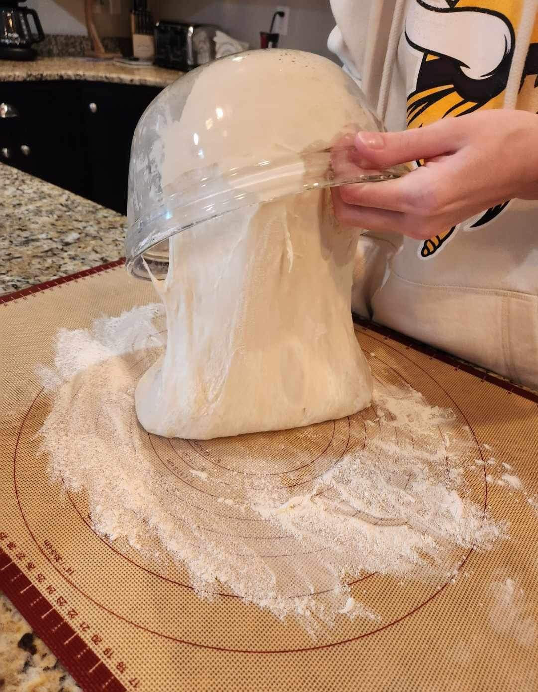 233-Year-Old Certified San Francisco Sourdough Starter (Local Pickup in Fargo)