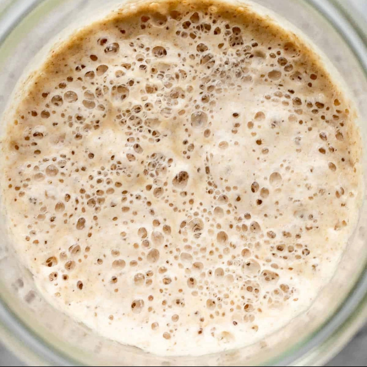 233-Year-Old Certified San Francisco Sourdough Starter (Local Pickup in Fargo)