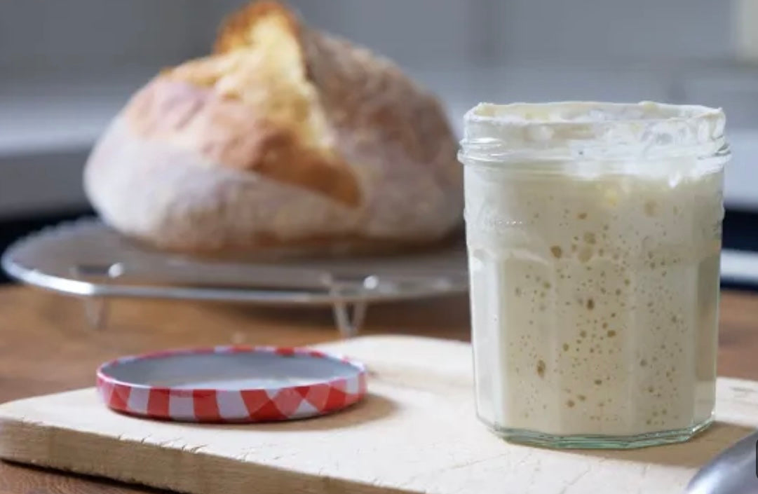 233-Year-Old Certified San Francisco Sourdough Starter (Local Pickup in Fargo)